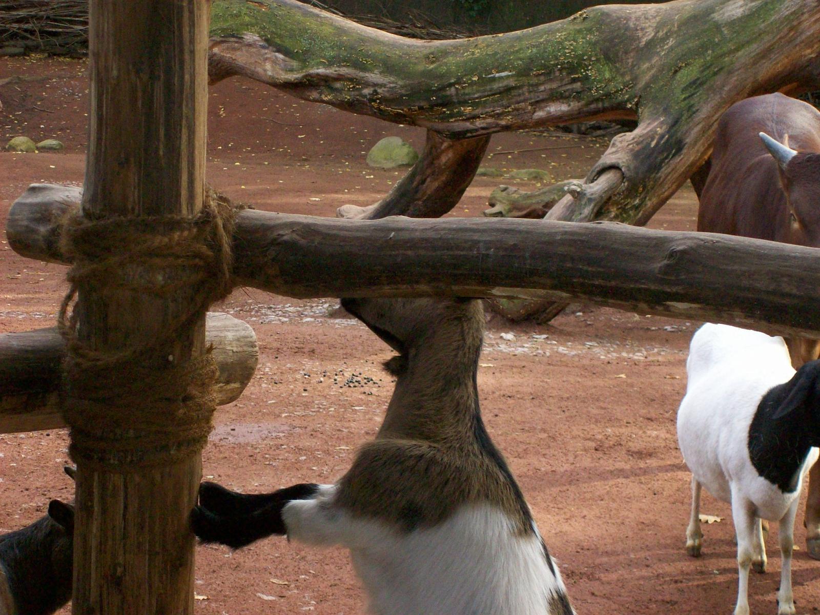 Zoom 18.10.2008-039.jpg